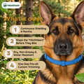 HikeShield Botanical Trail Collar