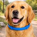 HikeShield Botanical Trail Collar